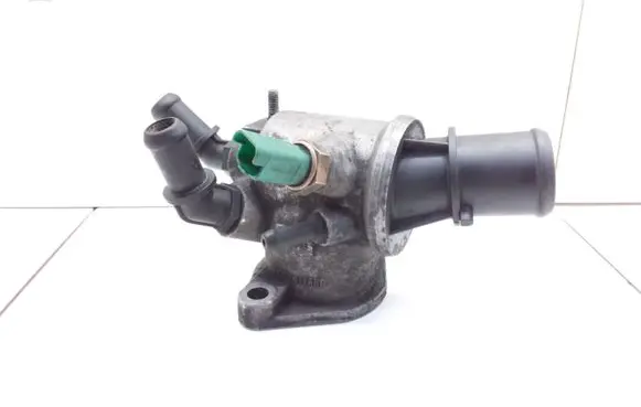Thermostat/thermostat housing