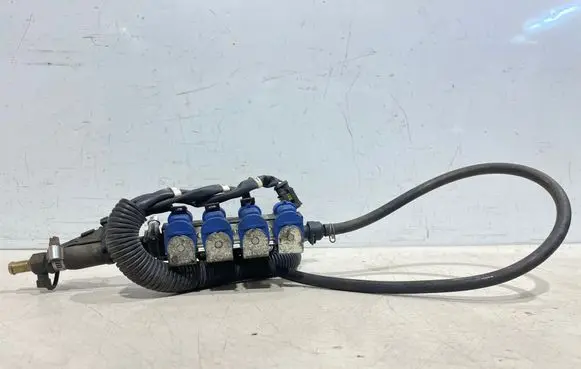 Volvo S60 LP gas injector 110R006359 10R035413 87R016359