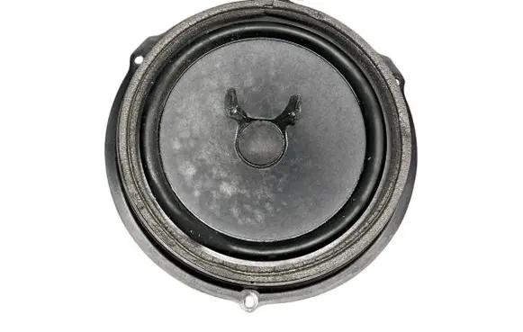 Ford S-MAX Front door speaker 6M2118808AC
