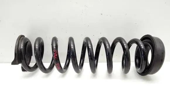Rear coil spring