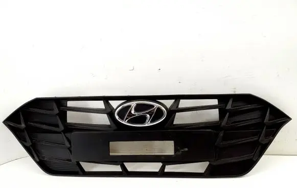 Front bumper upper radiator grill