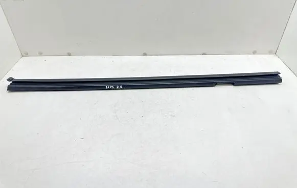 Ford Focus Rubber seal rear door window/glass 