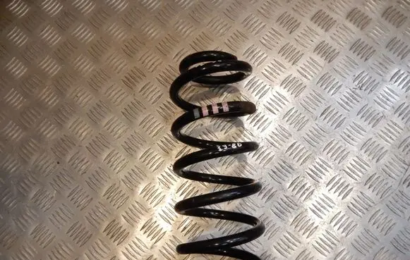 Front coil spring