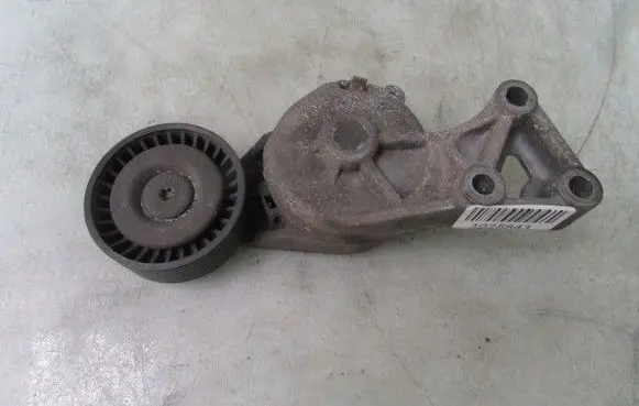 Volkswagen Golf IV Power steering belt tensioner 115