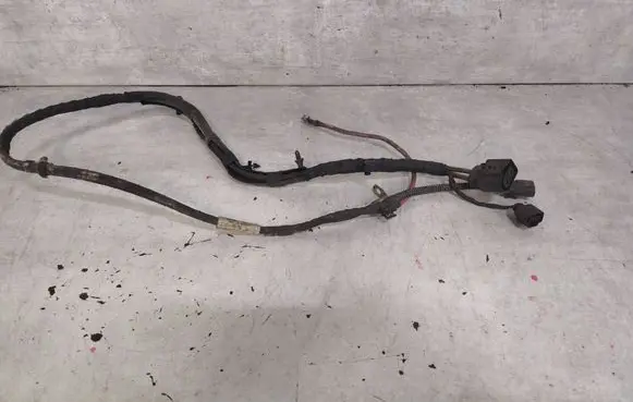 Volkswagen PASSAT B7 Other wiring loom 3C1971111AC