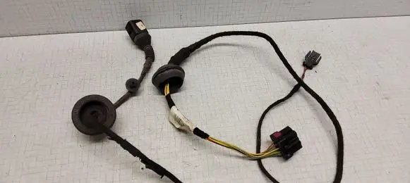 Volkswagen PASSAT B5.5 Rear door wiring loom 3B0971161K