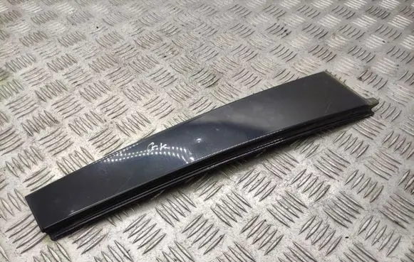 Volvo S80 Rear door glass trim molding 30799057