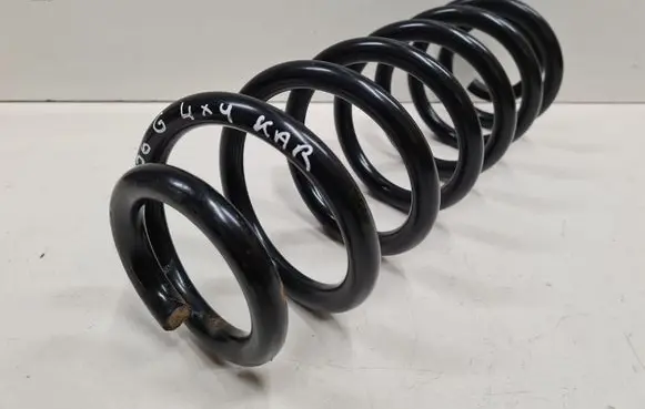 Volkswagen PASSAT B6 Rear coil spring