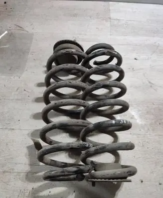 Rear coil spring