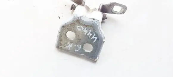 Dacia Sandero Rear door lower hinge