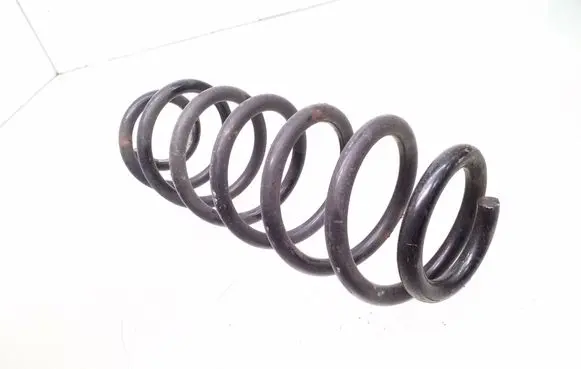 Rear coil spring