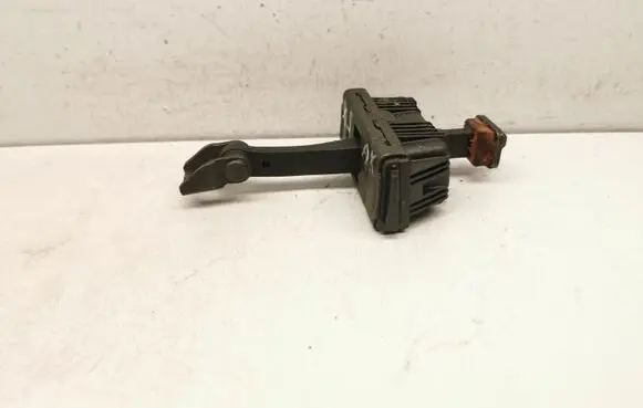 Rear door check strap stopper