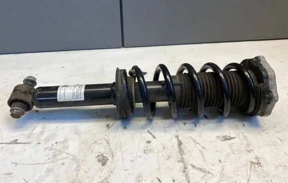 BMW X4 G02 Rear shock absorber/damper 6890945