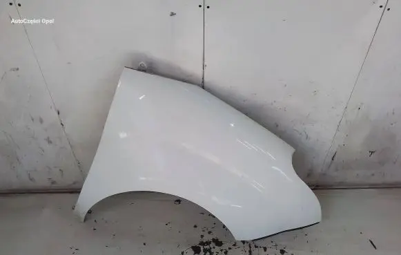 Opel Combo D Fender
