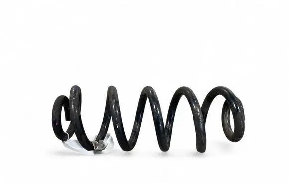 Rear coil spring