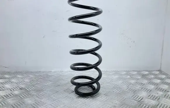 Volkswagen Tiguan Rear coil spring CS1139 GS0921
