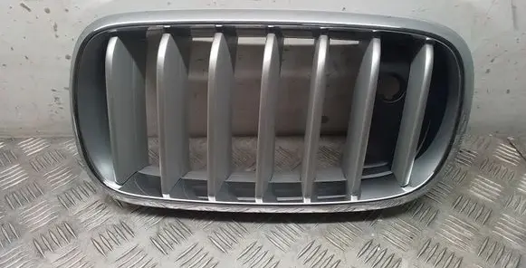 BMW X5 F15 Front bumper upper radiator grill 7303109