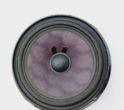 Front door speaker