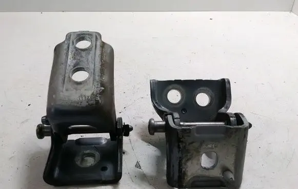Citroen DS3 Front door hinges set 