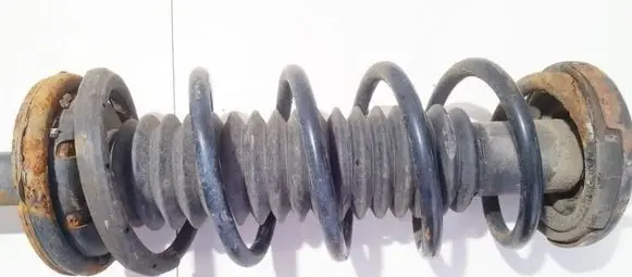 Honda Accord Rear coil spring