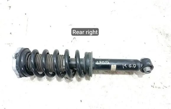 BMW iX Rear shock absorber with coil spring 6891986
