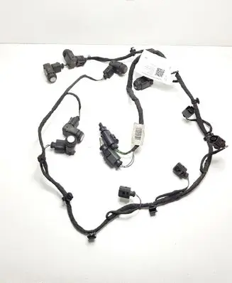 Volkswagen Phaeton Other wiring loom 3D0971095CP 3D0919275D