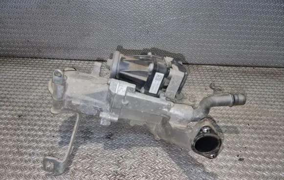 Peugeot Partner EGR valve 9802194080