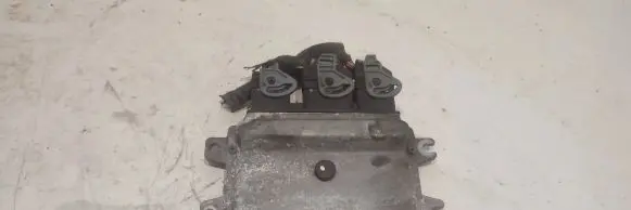 Renault Megane III Engine control unit/module MEC121160 MEC12116