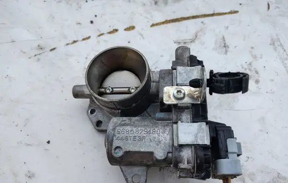 Fiat Qubo Throttle valve 9685879480