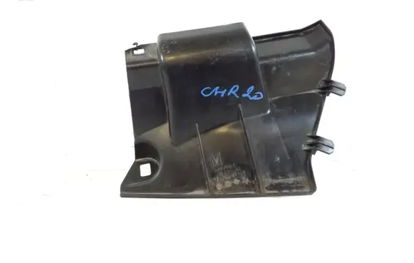Engine bonnet/hood lock trim molding
