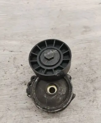 Peugeot 607 Generator/alternator belt tensioner