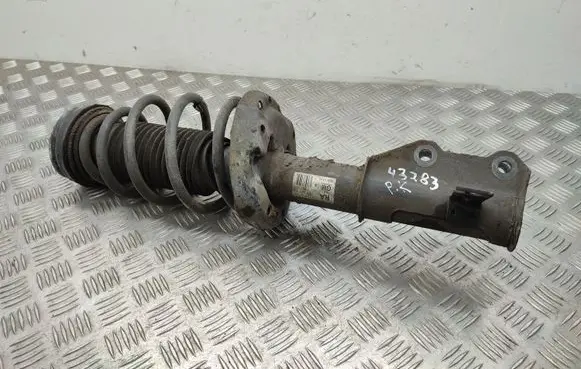 Opel Insignia A Front shock absorber/damper