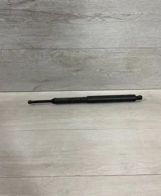 Tailgate/trunk strut/damper