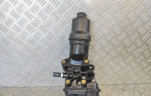Thermostat/thermostat housing