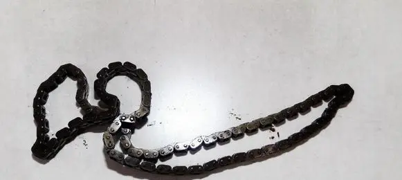 Mazda 6 Timing chain (engine) 