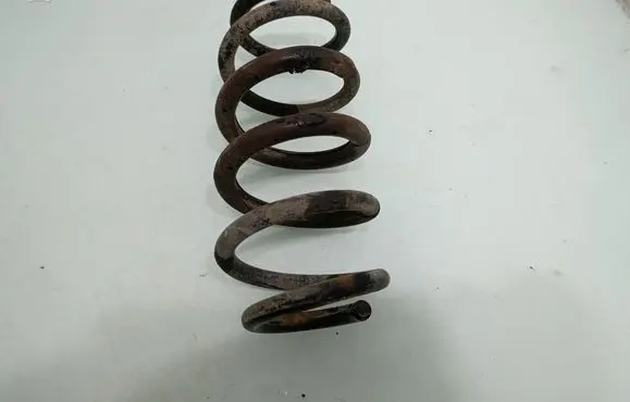 Rear coil spring