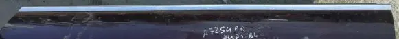 Audi A4 S4 B6 8E 8H Front door glass trim molding 