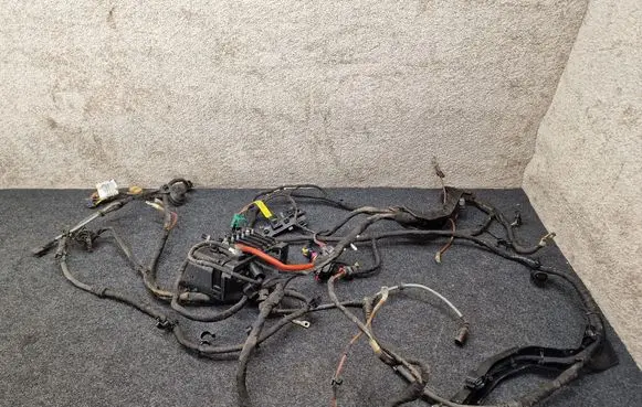 Cupra Born Wiring harness TAB016490CD 3825520 2338255205