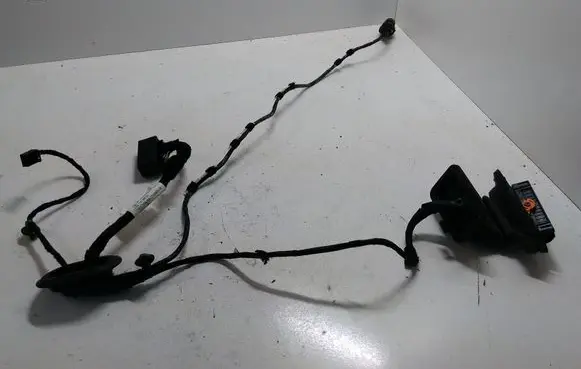 Rear door wiring loom
