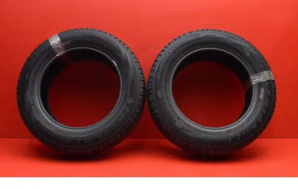 Ford Fiesta R17 winter tire 