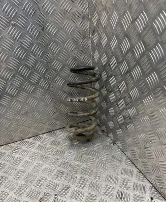 Rear coil spring