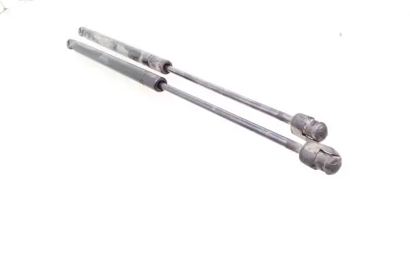 Tailgate/trunk strut/damper