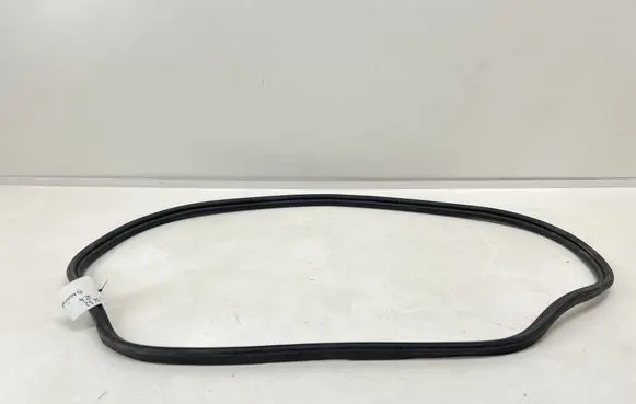BMW Z4 g29 Trunk rubber seal (body) 7437672 9448728