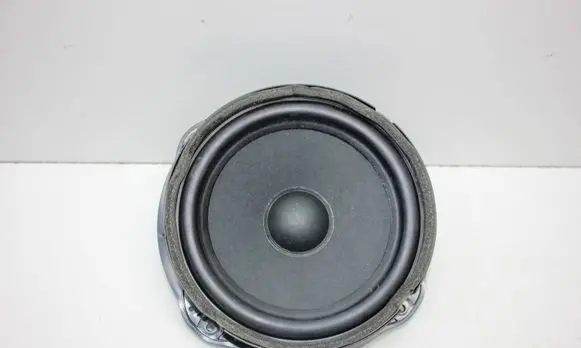 Front door speaker