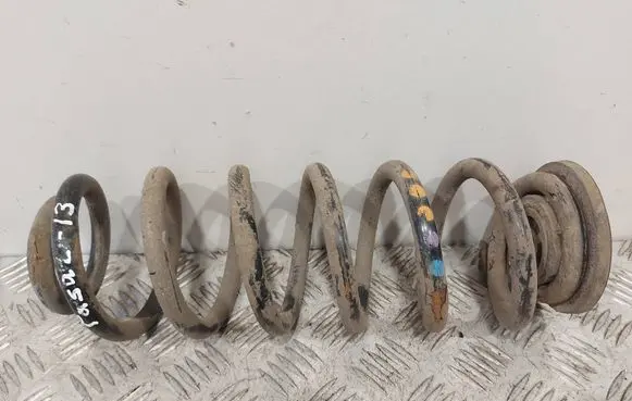 Volkswagen PASSAT B7 Rear coil spring 