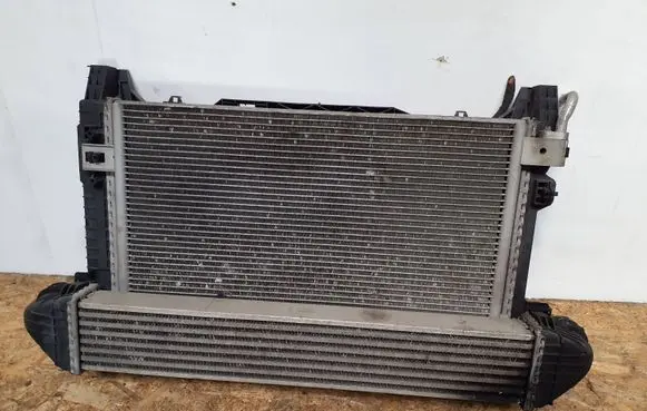 Mercedes-Benz B W245 Radiator set A1695002693