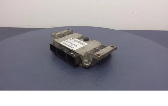 Engine control unit/module ECU