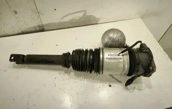 Volkswagen Phaeton Rear shock absorber/damper 3D0616001K