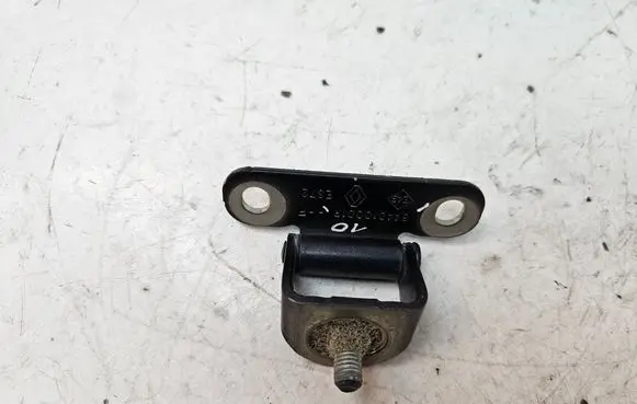 Renault Laguna III Tailgate/trunk/boot hinge 844010001R