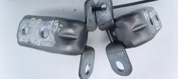 Hyundai Kona I Front door hinge set 